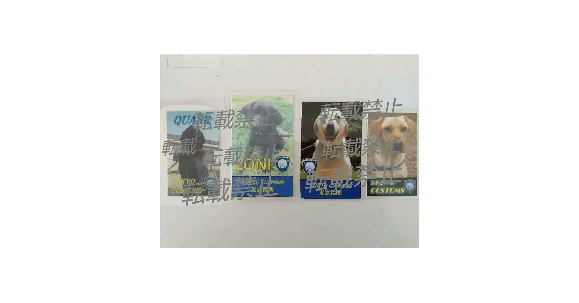 Amazon.co.jp: 探知犬〈東京税関〉ラミネートカード 4枚 税関 : おもちゃ